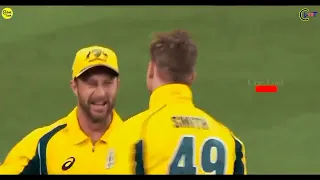 Top 8 Best ever Amazing Catches in Cricket History// Ft ABD''Hardik"Amir #cricket #catching #best