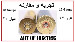 Beretta 12 gauge vs Remington 20 gauge -اسلحه #اسلحه  #صيد #صياد تجربه و مقارنه عيار ١٢ و عيار ٢٠#