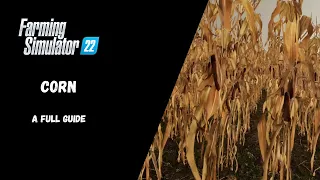 FS22 - Corn, A Full Guide - Farming Simulator 22