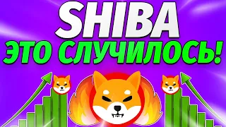 Shiba ТОЛЬКО ЧТО СДЕЛАЛ ЭТО!