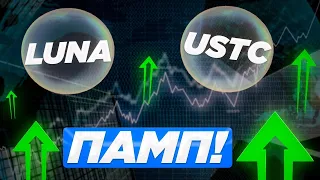 ПОЧЕМУ ТЕРРА РОСТЕТ? КИТЫ ПАМПЯТ USTC-UST-LUNC-LUNA🚀АНОНИМ УГРОЖАЕТ ДО КВОНУ | РАССЛЕДОВАНИЕ