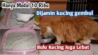 Fat auto cat | How to make cat food so that it gets fat quickly and has thick fur