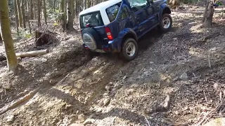 Duster vs Suzuki Jimny Forest Offroad