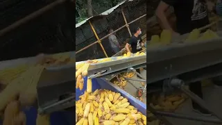 Corn cob conveyor, the inverted rod is loaded into the cage, and it can be used as a helper.