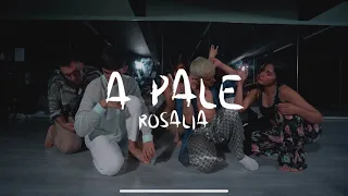 A PALÉ @ROSALÍA  | Dance Video @prodancersstudio | Choreography by @clairekarapidaki @tsafkow