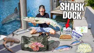 FISH TRAP Catches VENOMOUS AQUARIUM FISH At SHARK INFESTED DOCK!