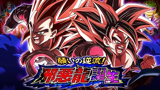 THE DRAGON BALL HEROES CATEGORY VS. SYN SHENRON! BIRTH OF THE SHADOW DRAGONS! (DBZ: Dokkan Battle)