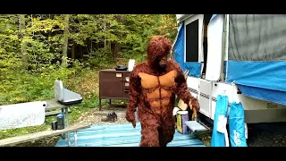 Camping in Allegany State Park  - All Creatures Weird and Dangerous