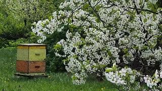 Zdążyć przed deszczem