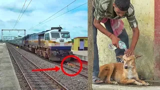 Humanity Exists ! Watch what happened when a dog survives after hitting by a speedy train