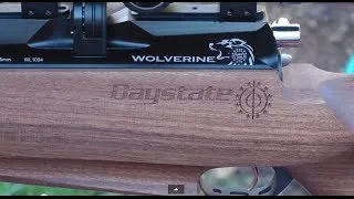 ACCURACY - Daystate Wolverine B - 5 Shot Group 49 Yards - 10 Shot Air Rifle