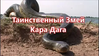 Таинственный змей Кара Дага