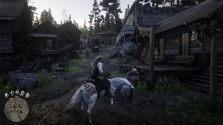 Red Dead Redemption 2 Cattail Pond murder?