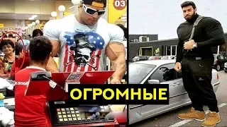 5 Бодибилдеров, в Существование Которых Сложно Поверить