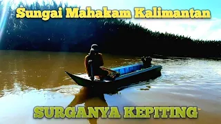 SUNGAI MAHAKAM KALIMANTAN SURGANYA KEPITING BAKAU ~ BINTANG SAMBOJA.