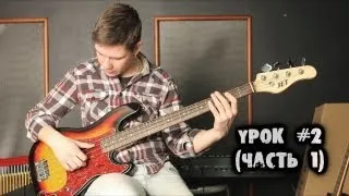 show MONICA Bass - Настройка и выбор бас-гитары (Part 1)