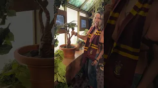 Harry Potter - Pulling out a screaming Mandrake