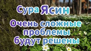 Сура "Ясин" очень сложные проблемы будут решены!