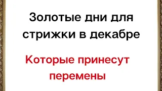 Золотые дни для стрижки в декабре. Которые принесут перемены.