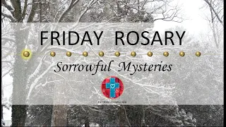 Friday Rosary • Sorrowful Mysteries of the Rosary 💜 January 26, 2024 VIRTUAL ROSARY - MEDITATION
