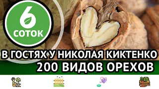 В гостях у Николая Киктенко #2. 200 видов орехов. 6 соток 17.10.2022