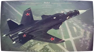 Sukhoi Su-47 - Y los secretos del ala en flecha invertida.