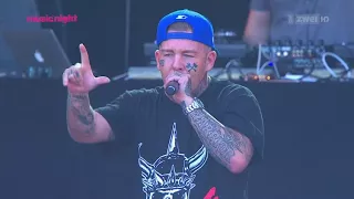 swollen members openair frauenfeld 2015 live 720p