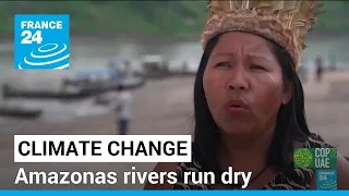 Amazon drought: The largest state in Brazil is suffering as rivers run dry • FRANCE 24 English