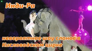 Инди-Ра невероятное шоу слонов в Кисловодском цирке