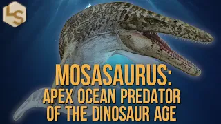 Mosasaurus 101