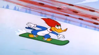 Over the Top | Woody the Woodpecker | Cartoons for Kids | WildBrain Bananas