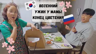 Весенний ужин у корейской мамы, прощаемся с цветением🌸 Катя и Кюдэ/Южная Корея