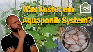 Was kostet ein Aquaponik System?