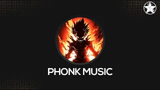 TOP BRAZILIAN PHONK/KRUSHFUNK SONGS MIX 2024 ※ Tik Tok Viral Phonk Playlist #66