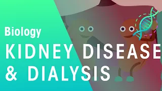 Kidney Disease and Dialysis | Health | Biology | FuseSchool