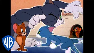 Tom und Jerry auf Deutsch | Katz und Maus | WB Kids