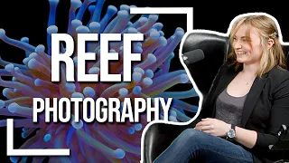 Reef Photography Tips with Becka  | Tidal Gardens Podcast Ep 5