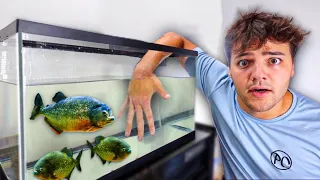 I got ATTACKED by a PIRANHA!! (do not try this!)