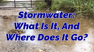 Stormwater: What Is It, And Where Does It Go?