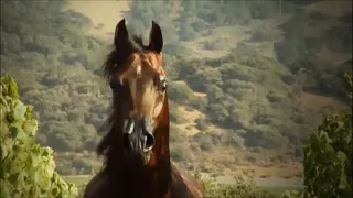Тебе лучше меня не знать II Horses II Music video II