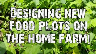 New Food Plot Designs!