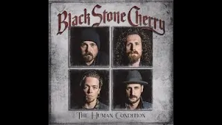Review: Black Stone Cherry "The Human Condition'