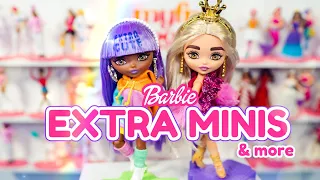 Let’s Take a Look at Barbie Extra Minis 7 and 8  & Answer a Few of Your Questions