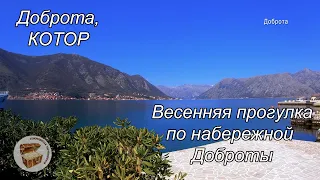 Доброта, Котор Черногория 2021 (Dobrota Kotor)