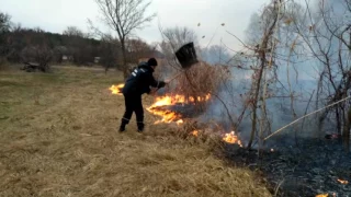 пожежі сухої трави