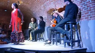 Estefanía Narvaez en Tablao el Torero, Madrid