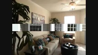 2 bedroom model apartment (downstairs) - Watersedge Apartments - Champaign, IL