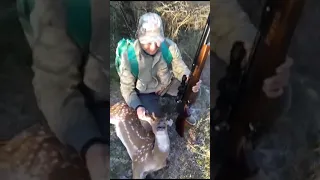 cacería de ciervo con el foster f290 6,35