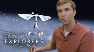 Flight of the RoboBees | Explorers in the Field