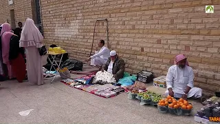 सउदी अरब ताइफ़ सिटी यात्रा बस मध्य पूर्व से यात्रा करना